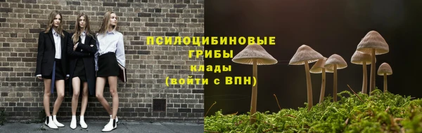 ПСИЛОЦИБИНОВЫЕ ГРИБЫ Беломорск