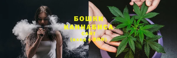шишки Балабаново