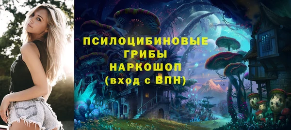 бутират Тавда