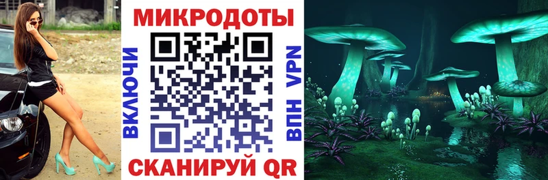 Галлюциногенные грибы Psilocybine cubensis  купить закладку  Каменка 